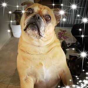 Meet your Posher, Cynthia kelly-